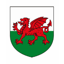 Wales Coat of Arms T-shirt by FlagTshirts Wales Coat of Arms T-shirt