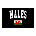 Wales College Style posters