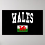 Wales College Style Print