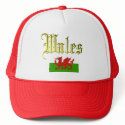 Wales (Cymru ) hats