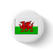 Wales FLAG International buttons