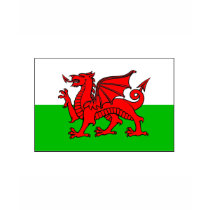 Wales FLAG International t-shirts by flagshirt Wales FLAG International t-shirts