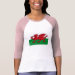 Ladies 3/4 Sleeve Raglan (Fitted)
