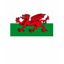 Wales Flag T-shirt by FlagTshirts Wales Flag T-shirt