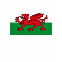 Wales Flag T-shirt