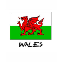 Wales Flag t-shirts by flagshirt Wales Flag t-shirts