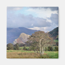 WALES FRIDGE MAGNETS