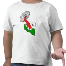 Wales six nations grand slam 2012 shirts