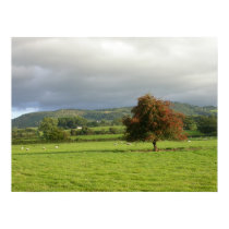 Wales Tree posters