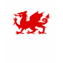 Wales t-shirts