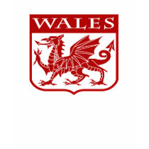 Wales t-shirts by magarmor Wales t-shirts