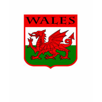 Wales t-shirts by magarmor Wales t-shirts