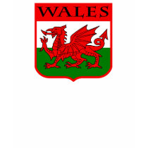 Wales t-shirts by magarmor Wales t-shirts