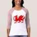Ladies 3/4 Sleeve Raglan (Fitted)