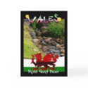 Wales, Welsh card saying Dydd Gwyl Dewi