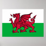 Wales -Welsh Flag Print