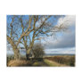 "Walk Along a Country Lane" Northumberland Post Cards