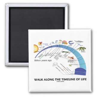Walk Along The Timeline Of Life Biology Evolution Magnet