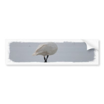 Walk Away Bumper Stickers