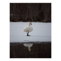 Walk Away Photograph