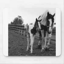 walk by the fence mousepads