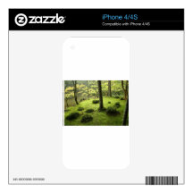 Walk In the forest Decal For The iPhone 4S