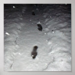 Walk In The Snow Poster