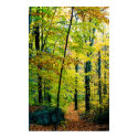 walk in the woods posters