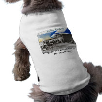 Walk Me Downtown to PampaMarket Pet Tshirt