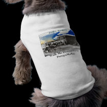 Walk Me Downtown to PampaMarket pet clothing