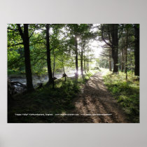 Walk Near the River-Happy Valley, Northumberland Print
