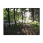 "Walk Near the River" Northumberland Post Card