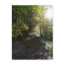 "Walk on a Woodland Path" Northumberland Postcard