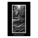 Walk posters by JDS_Photography Walk posters
