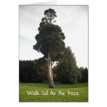 Walk Tall As The Trees - Blank Card