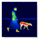 walk the dog posters by nutscode walk the dog posters