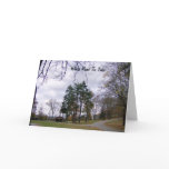 Walk Through The Forest Cards