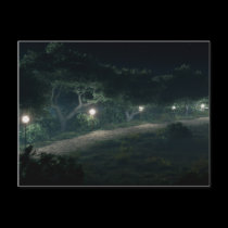 Walk Through The Woods 2009 Postcard postcards