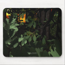 Walk Through The Woods mousepads