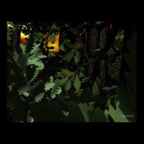 Walk Through The Woods posters