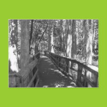 Walk to Remember Postcard postcards