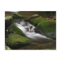Walker Creek Postcard by jetkrazee Walker Creek Postcard