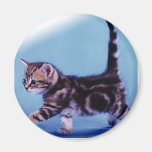 walking%20kitten%20RC%20Germany Magnets
