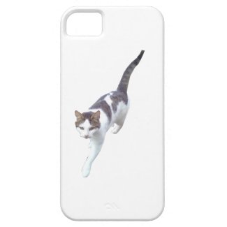 Walking Cat