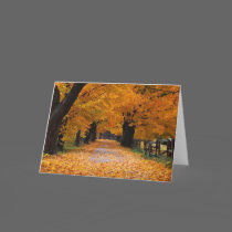 Walking Down Autumn's Memory Lane cards