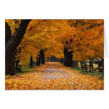 Walking Down Autumn's Memory Lane Cards