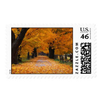 Walking Down Autumn's Memory Lane postage