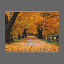 Walking Down Autumn's Memory Lane postcards