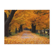 Walking Down Autumn's Memory Lane postcards by beverlytazangel Walking Down Autumn's Memory Lane postcards