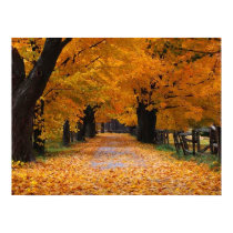 Walking Down Autumn's Memory Lane posters by beverlytazangel Walking Down Autumn's Memory Lane posters